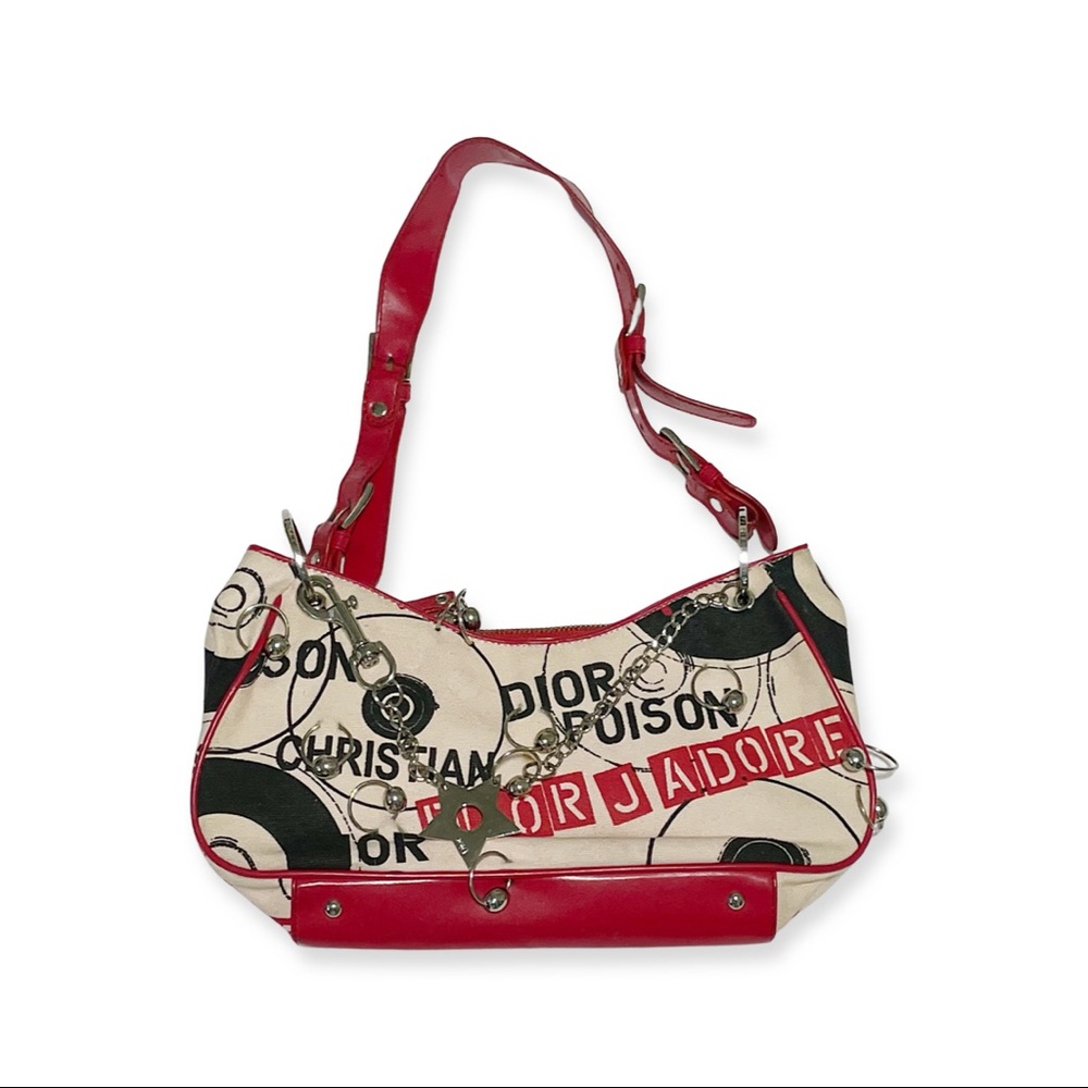 Rockstar Dior bag